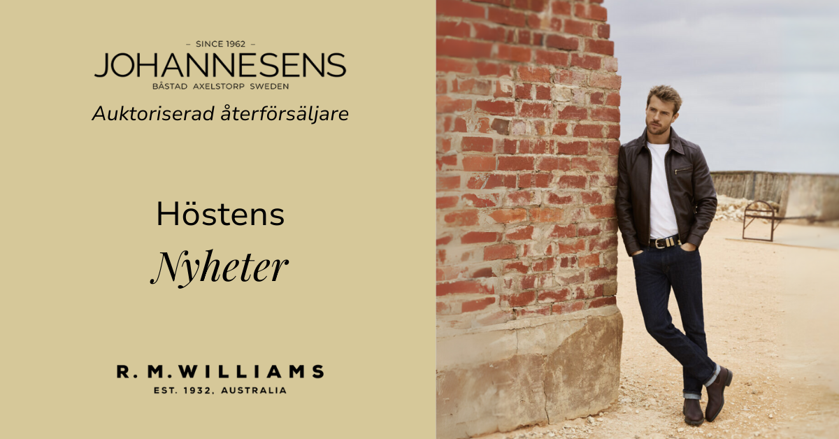 Johannesens zkond case annons meta ads ökade med över 1000%