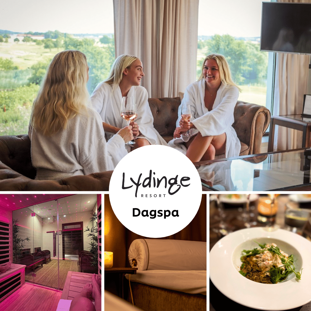 lydinge dagspa 1x1 meta ads annons case ökade intäkter med +209% i meta med samma roas