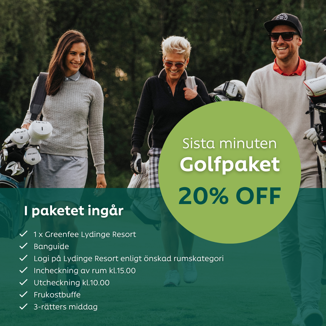 lydinge google ads golf resort annons case intäkt ökade 2900%